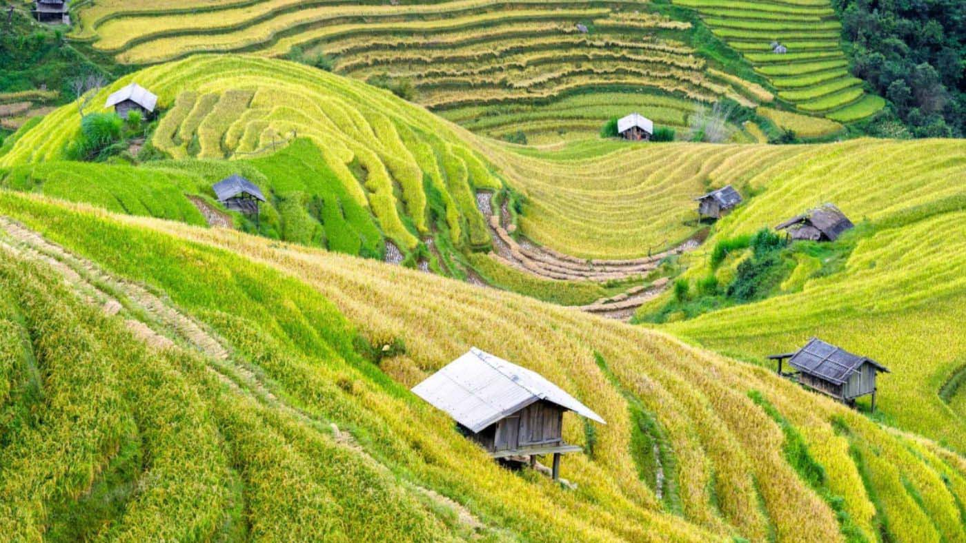 MAI CHAU: A Breath of Fresh Air in Vietnam for Indian Travellers 1 Mai Chau offers a serene escape from the bustling cities of Vietnam