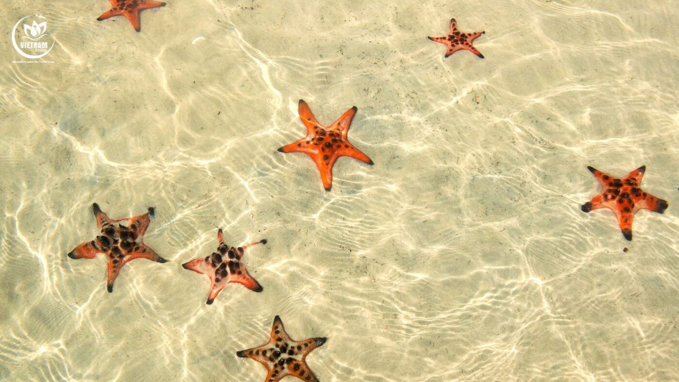 Aerial view of Sao Beach in Phu Quoc, with white sand and turquoise water, a perfect retreat for Indian families
