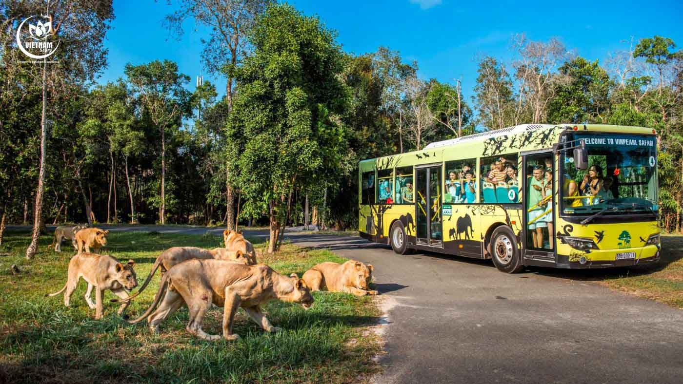 Indian families enjoying educational safari experience with giraffes at Vinpearl Safari Phu Quoc