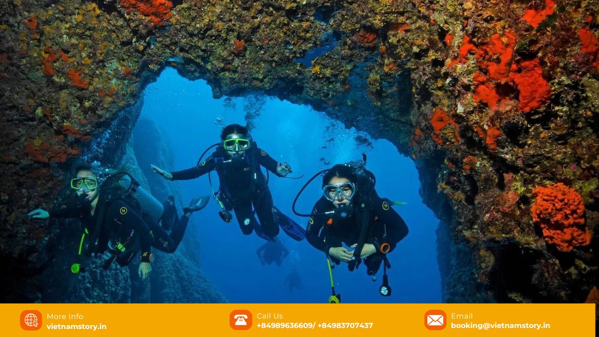 Scuba Diving in Vietnam: Unveiling an Underwater Paradise 13 Chart or graphic illustrating scuba diving costs in Vietnam