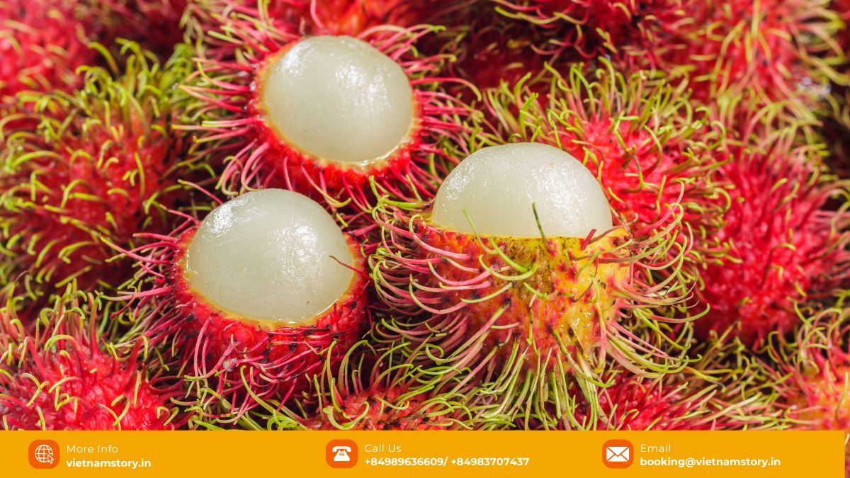 Bright red Rambutan fruits with characteristic hairy exterior.