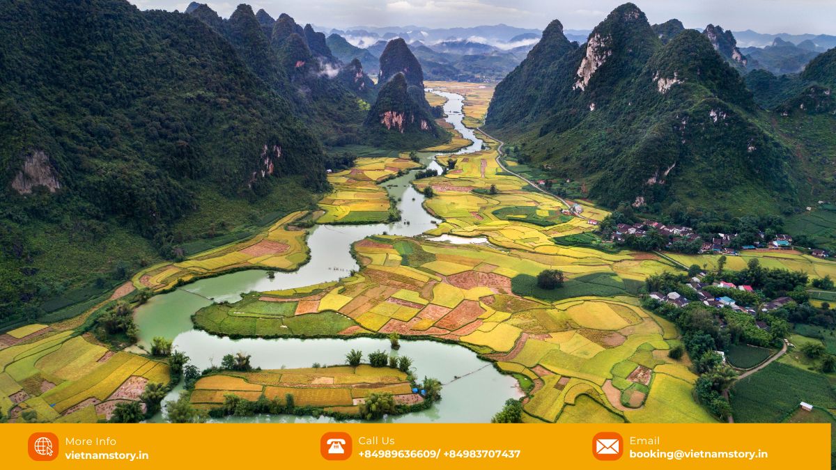 Discover the Breathtaking Natural Wonders in Vietnam: Your Guide to Unforgettable Tours 17 Golden rice terraces surround the karst formations in Tam Coc, Ninh Binh, known as 'Ha Long Bay on Land'.