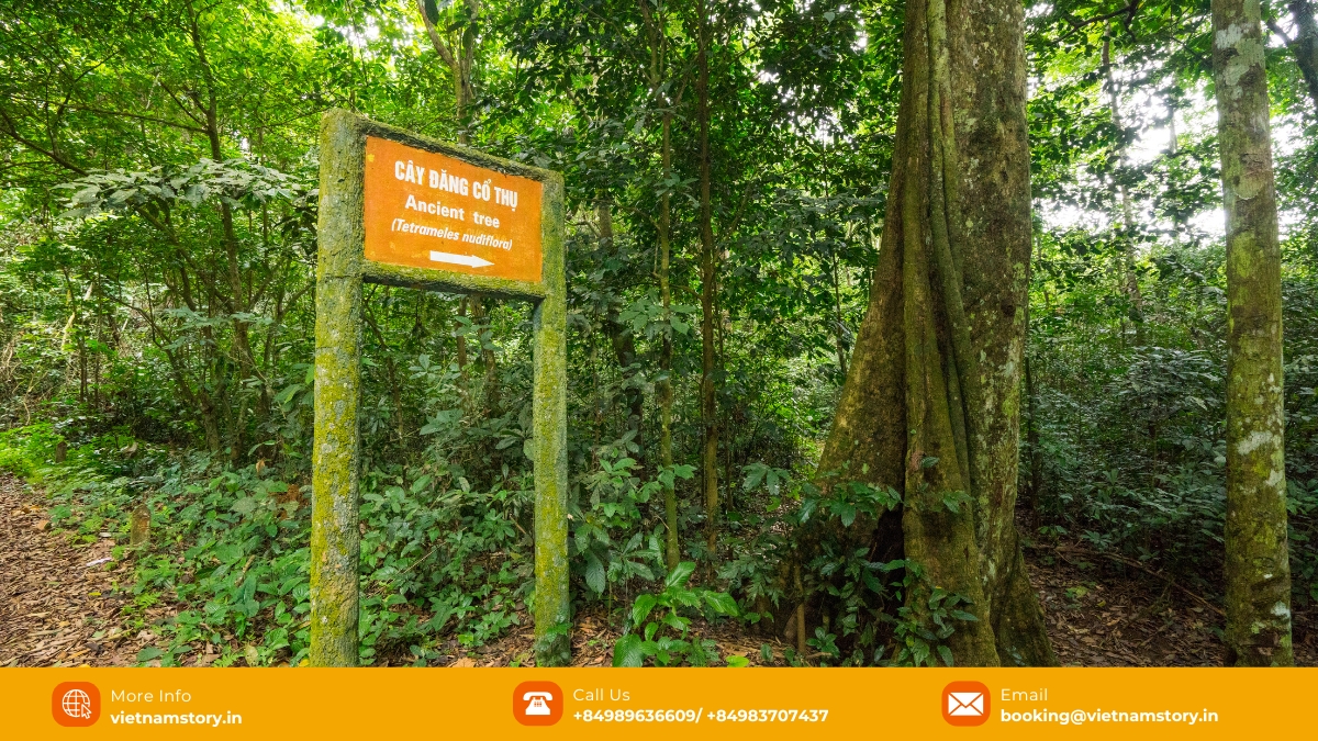 Explore the mysterious caves like the Cave of Prehistoric Man to unearth various secrets from ancient eras