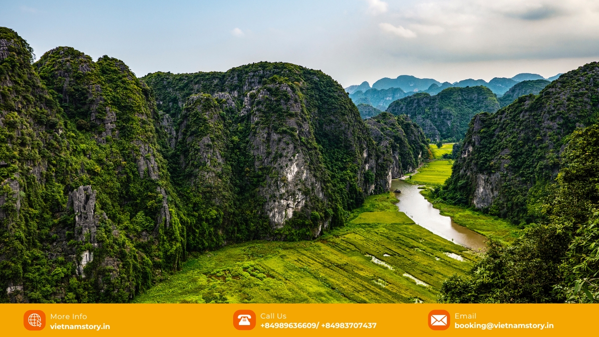 Winter in Ninh Binh offers serene, misty landscapes and fewer tourists, with reed flowers blooming.