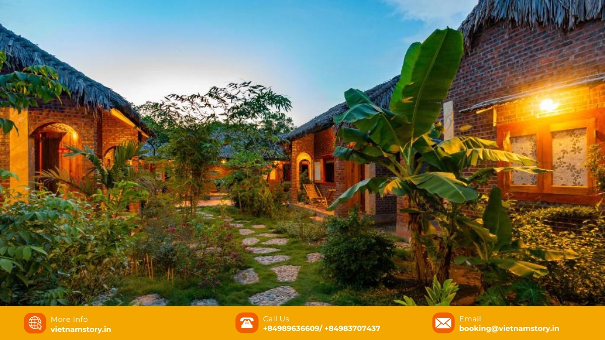 ninh binh palm homestay