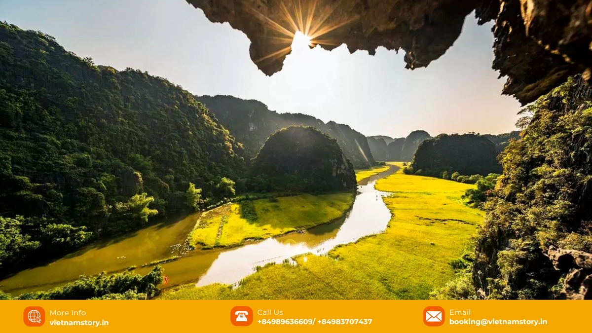 Ninh Binh’s rice paddies in the harvest season