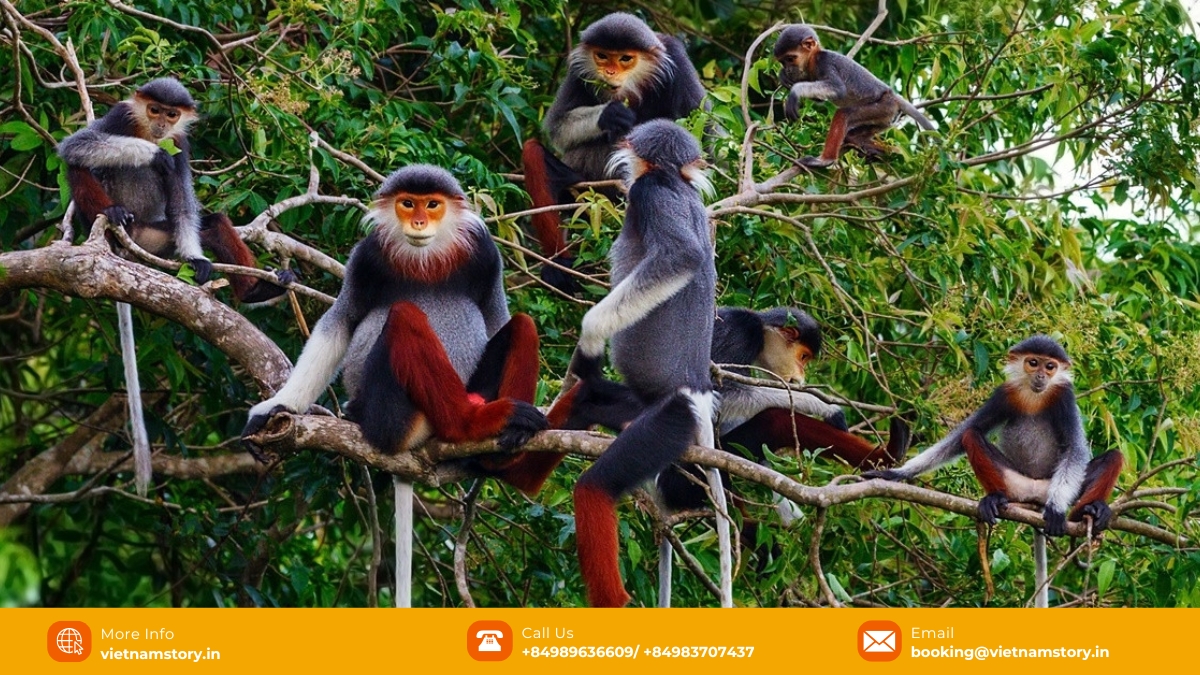 All areas of Cuc Phuong National Park, with its rich biodiversity including thousands of plant species, have something fascinating to offer