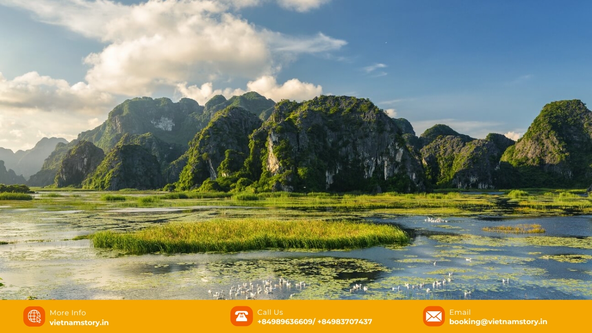 Come to Van Long Wetland Nature Reserve and take in all the sights and sounds