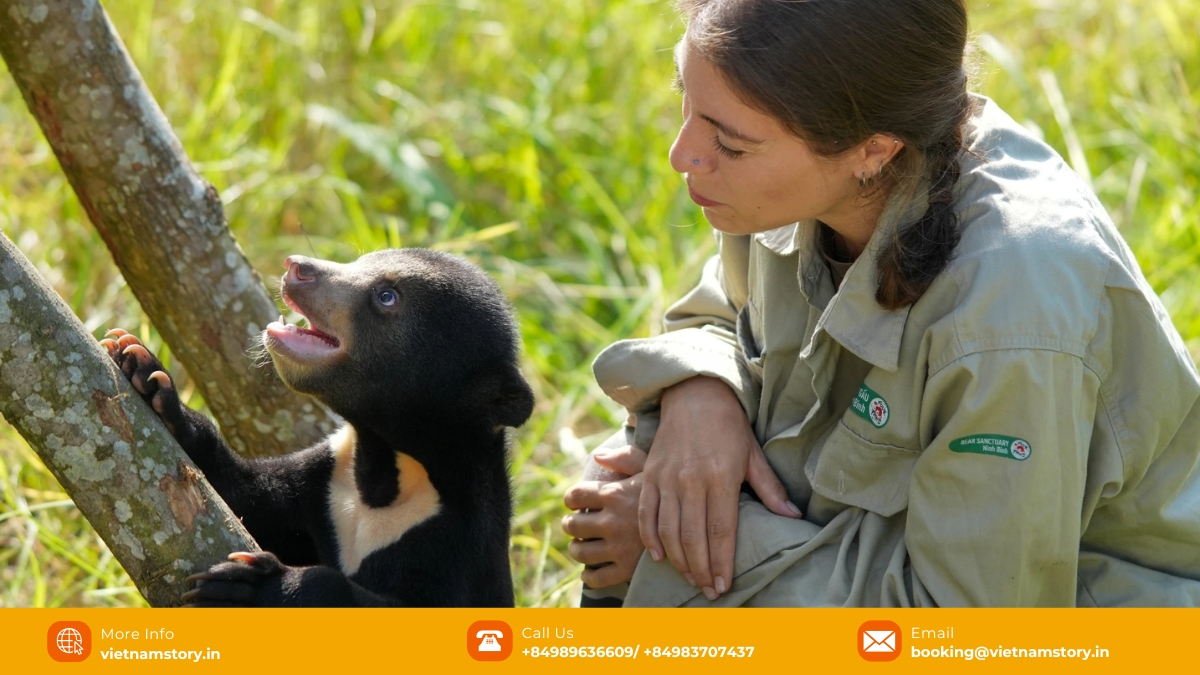The sanctuary also welcomes all animal and bear lovers to come and learn.