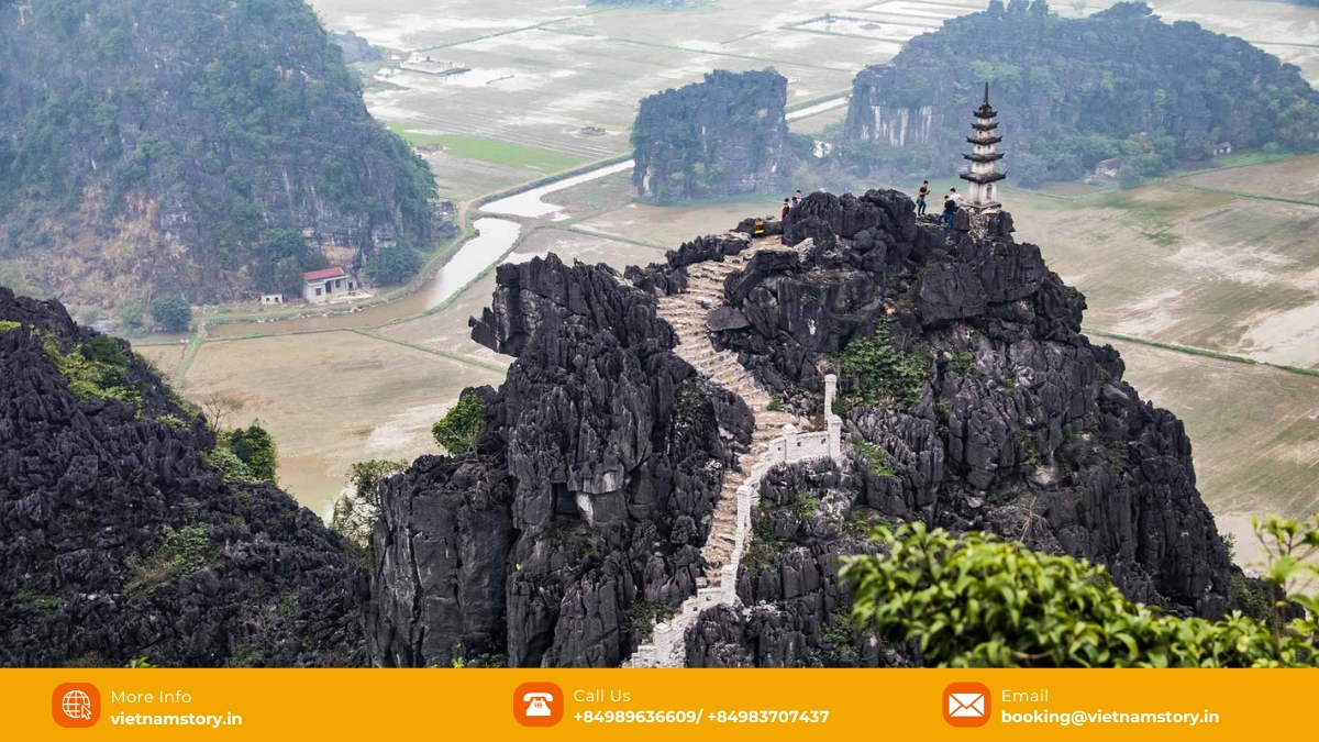 The majestic beauty of nature at Ngoa Long Mountain Vietnam