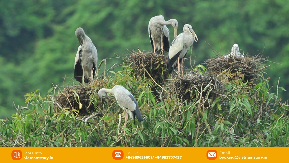 Observing resident bird species is among the must-do bird park activities