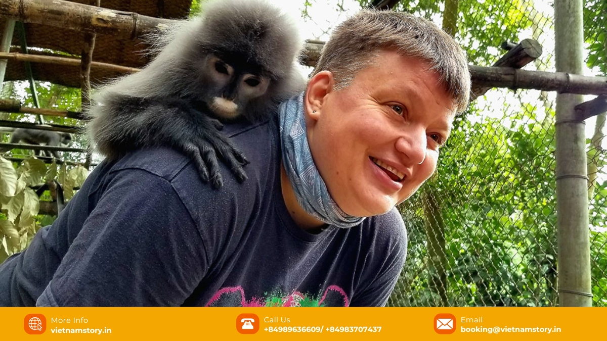 The rescue center is home to endangered primates like the Cat Ba Langur and Douc Langur