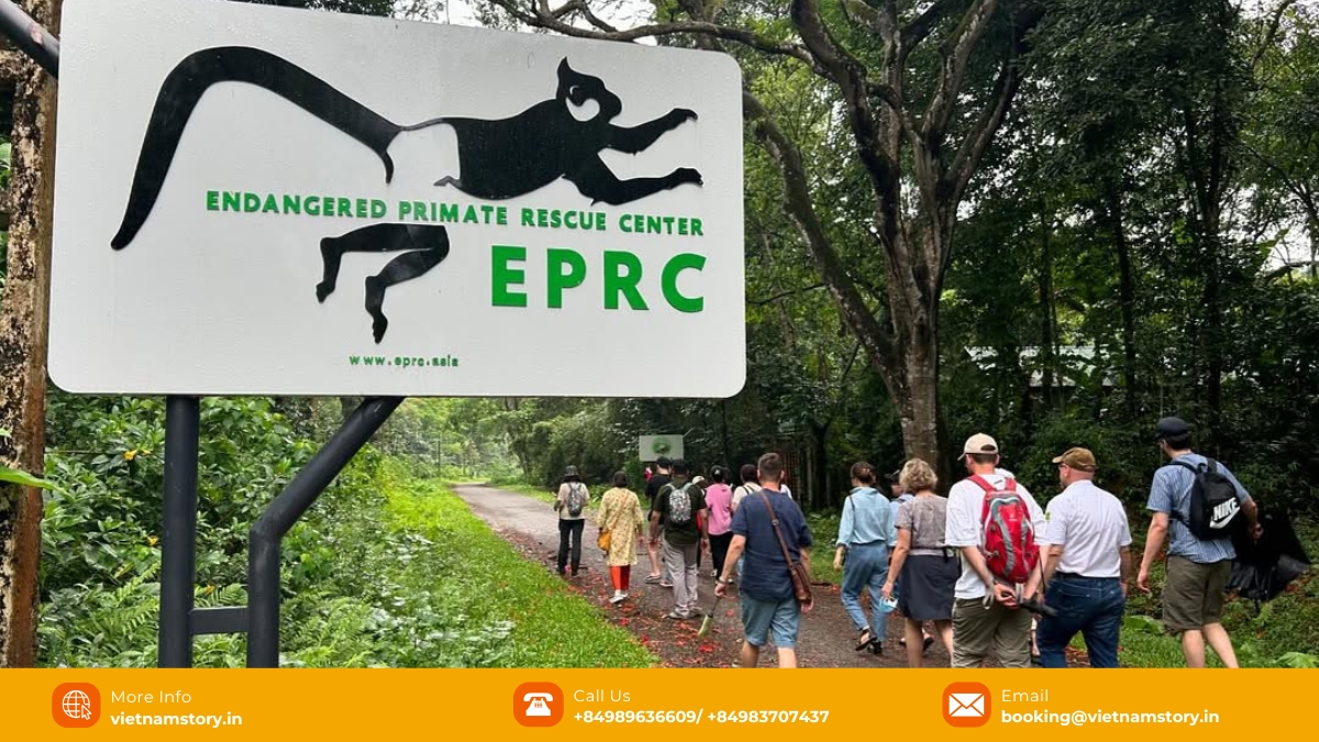 The Endangered Primate Rescue Center is a nature lover's paradise, where visitors can get up close to rare primates.