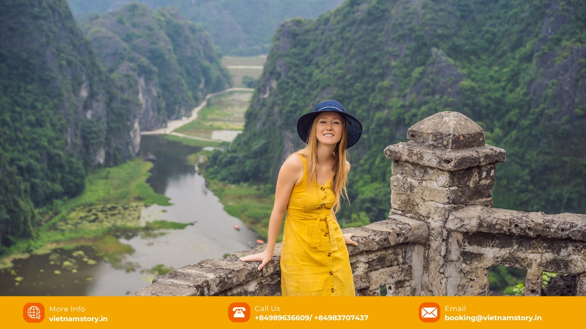 The stunning panoramic view from the Mua Cave summit, overlooking the Ngo Dong River snaking through Ninh Binh's rice fields and limestone karsts.