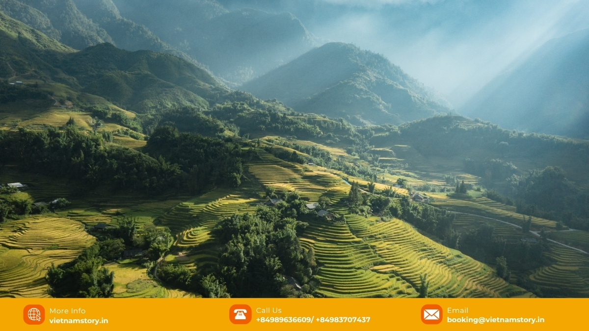 Layered rice terraces in Sapa mountains, Northern Vietnam, September harvest. Layered rice terraces in Sapa mountains, Northern Vietnam, September harvest.