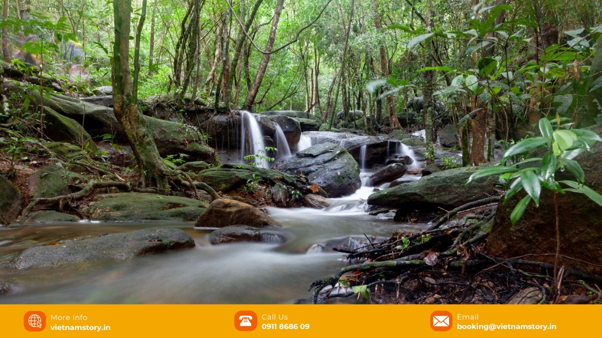 The cool and fresh water of the streams will make you excited 