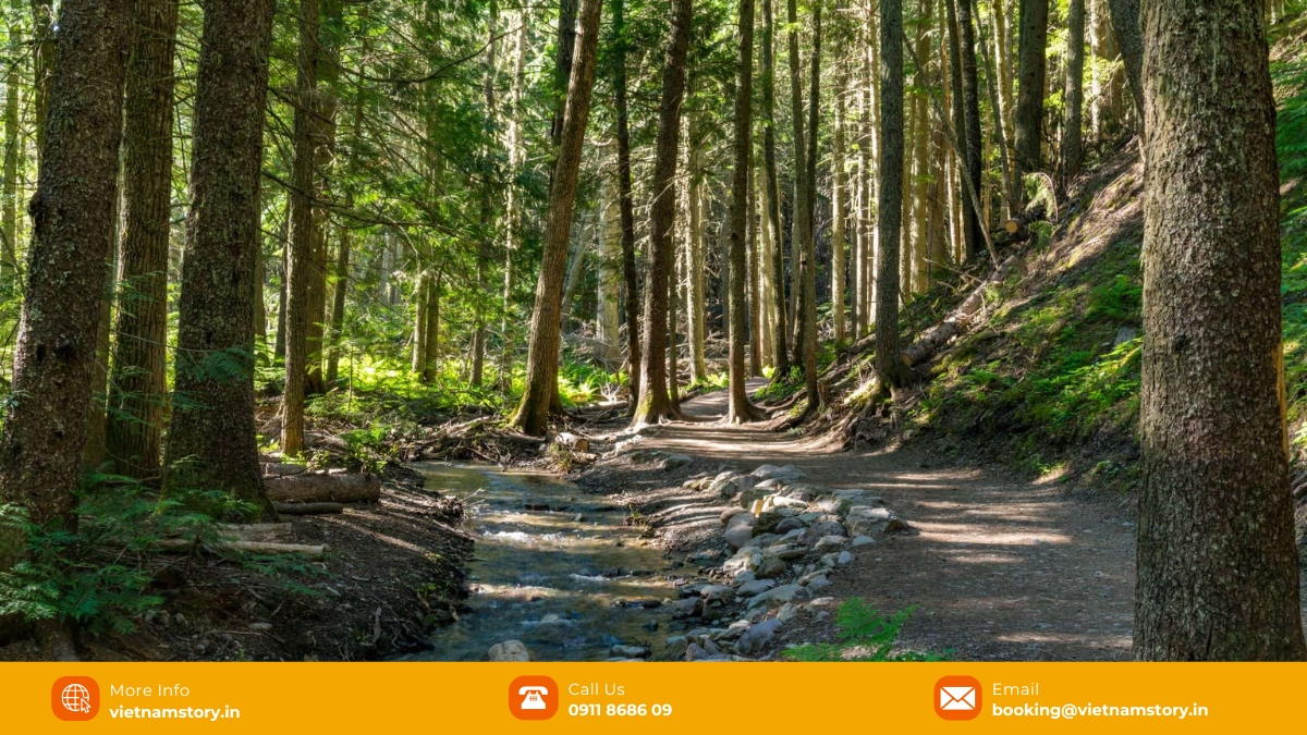 The freshness of the park can help you relax your soul 