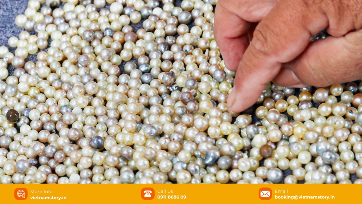 Phu Quoc pearls – one of the best souvenirs in Phu Quoc for your loved ones