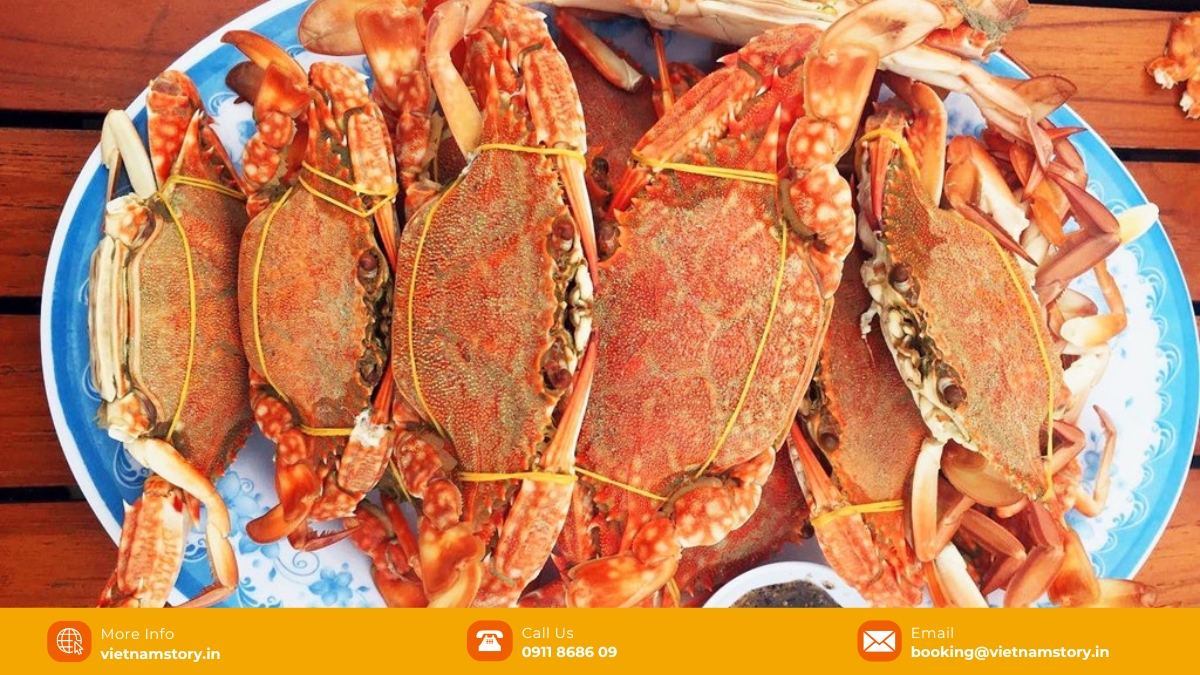 Eye-catching patterns on Ham Ninh flower crabs’ shells