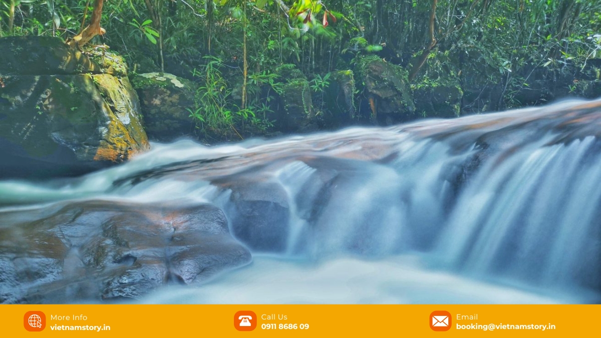 Suoi Tien Phu Quoc Waterfall is surrounded by rose myrtle 