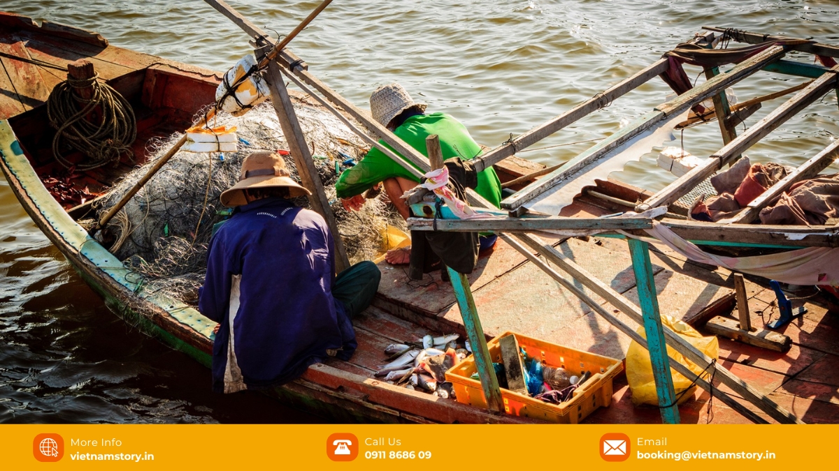 Catching fish in Ham Ninh fishing village