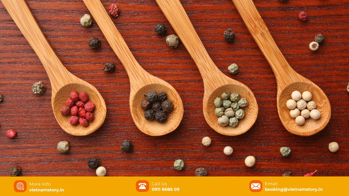 Green pepper, black pepper, white pepper, red pepper 