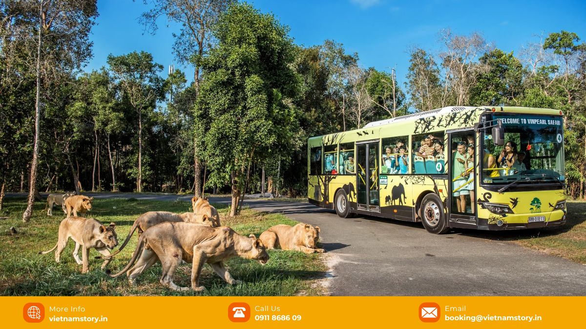 Decoding your Vinpearl Safari Phu Quoc Ticket: A local's guide to the best experience 6 vinpearl safari phu quoc 1