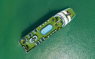 Amethys Cruise One Day