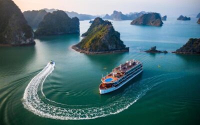 8 day tours