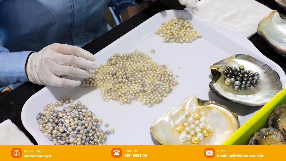 Phu Quoc pearls make excellent jewelry and beauty products
