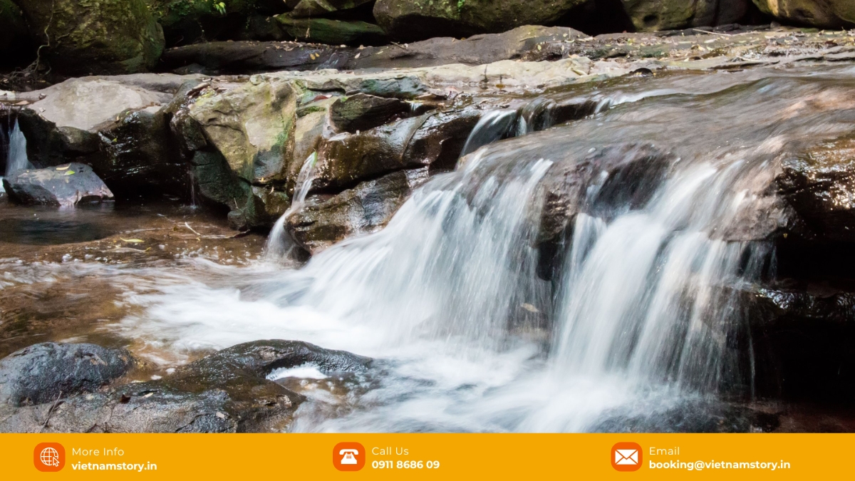 Relax by a peaceful Da Ban stream surrounded by nature