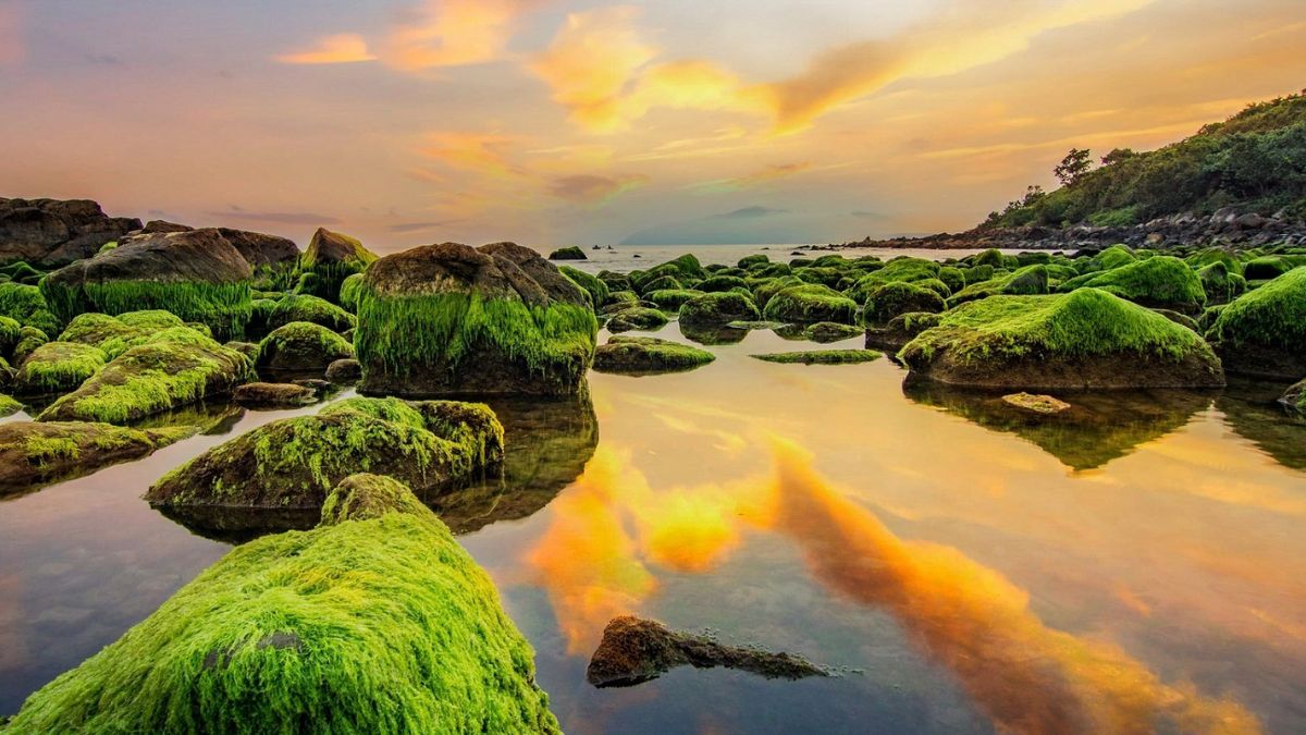 Best beaches in Da Nang: An essential guide for Indian travelers 6 Nam O Beach