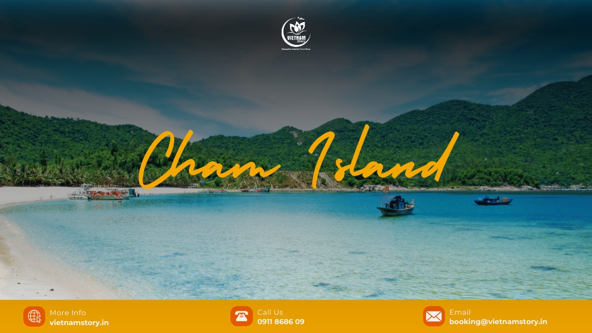 Cham Islands offers tourists a lot of interesting experiences thanks to its stunning natural and cultural attractions.
