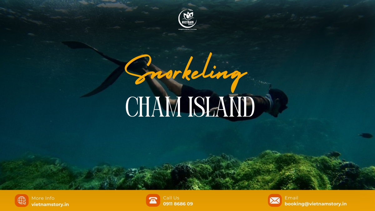 Snorkeling Cham Islands: A beginner's guide to Vietnam's underwater paradise 2 Snorkeling in Cham Islands is a dream come true for ocean lovers.