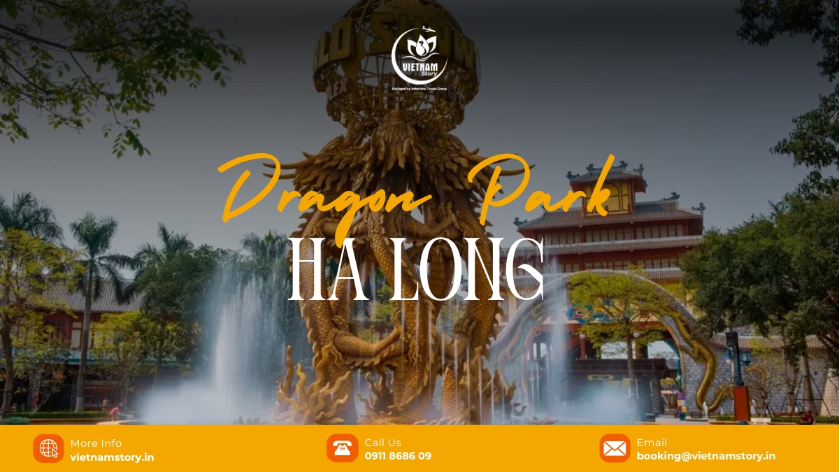 Dragon Park Ha Long: The Adrenaline Heart of the Bay 2 When you set foot in Dragon Park Ha Long, you're entering a dazzling world where imagination runs wild.