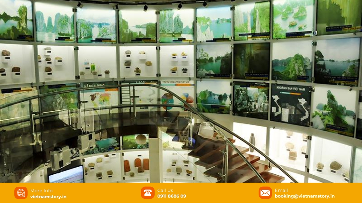 Ha Long Museum (Quang Ninh Museum): The "Black Pearl" of the Coast 4 Historical and cultural artifacts of Quang Ninh are displayed on the second floor