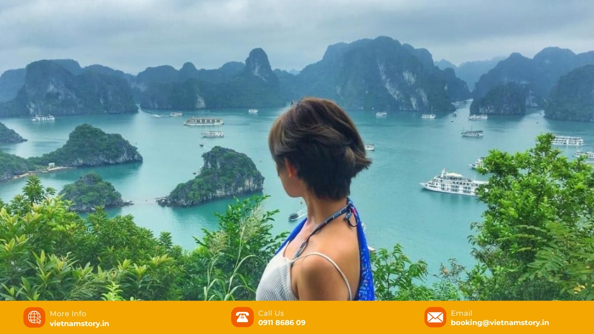 Titov Island: A Guide to the "Jewel in the Crown" of Ha Long Bay 4 You can contemplate an amazing view at the peak of Ti Top Island
