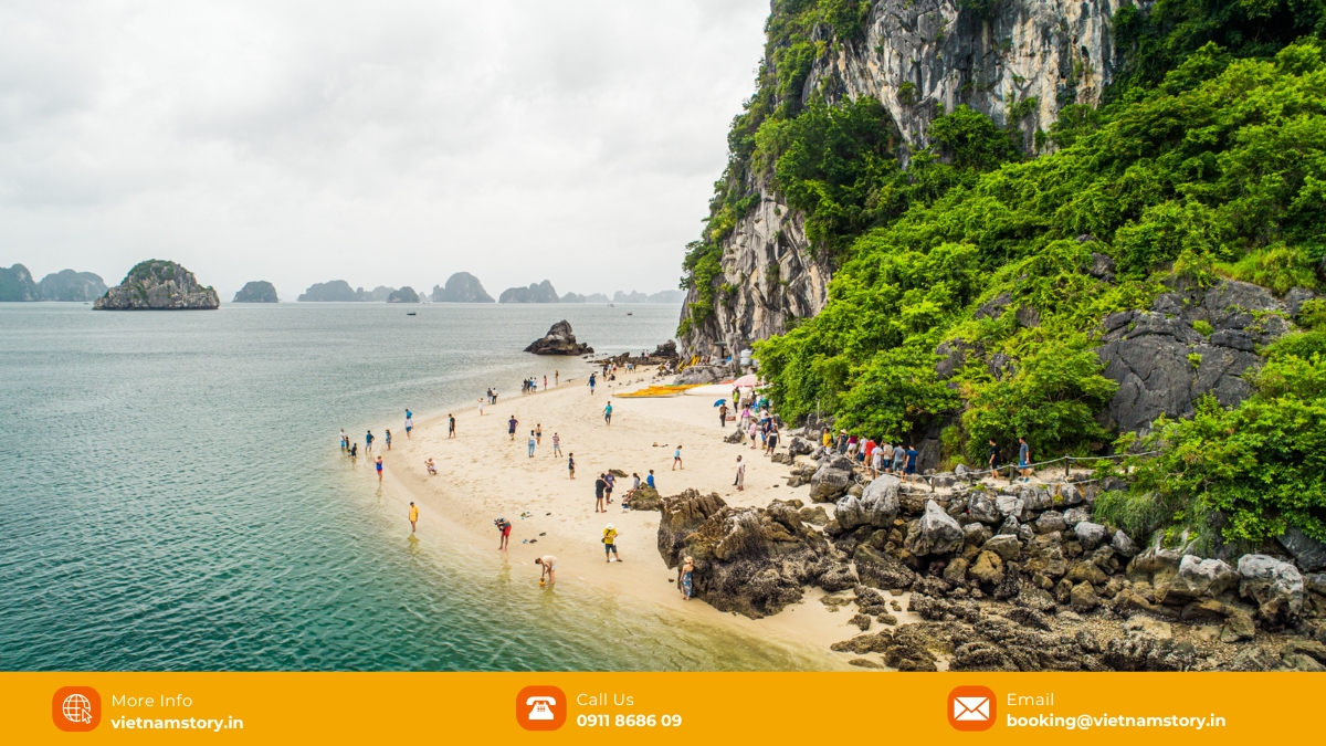 Titov Island: A Guide to the "Jewel in the Crown" of Ha Long Bay 6 Best time to visit Ti Tov island