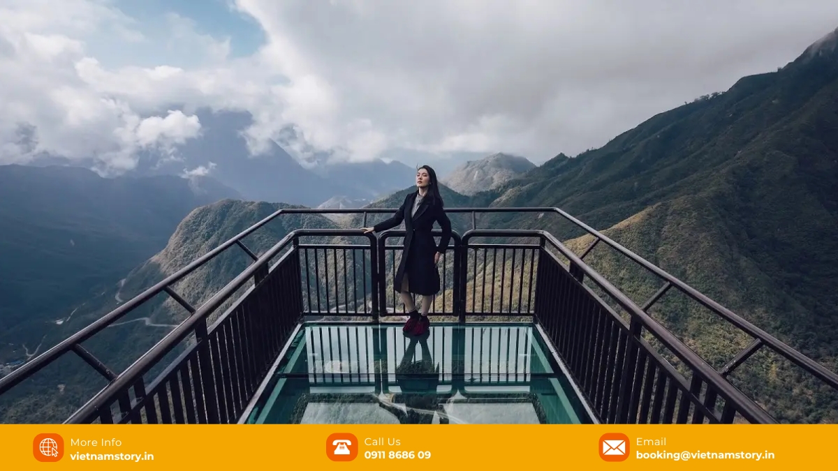 Rong May Glass Bridge: A Guide to Sapa's "Dragon in the Clouds" 3 The Rong May Glass Bridge is a spectacular tourist attraction in Sapa, offering visitors an exhilarating experience high above the mountains