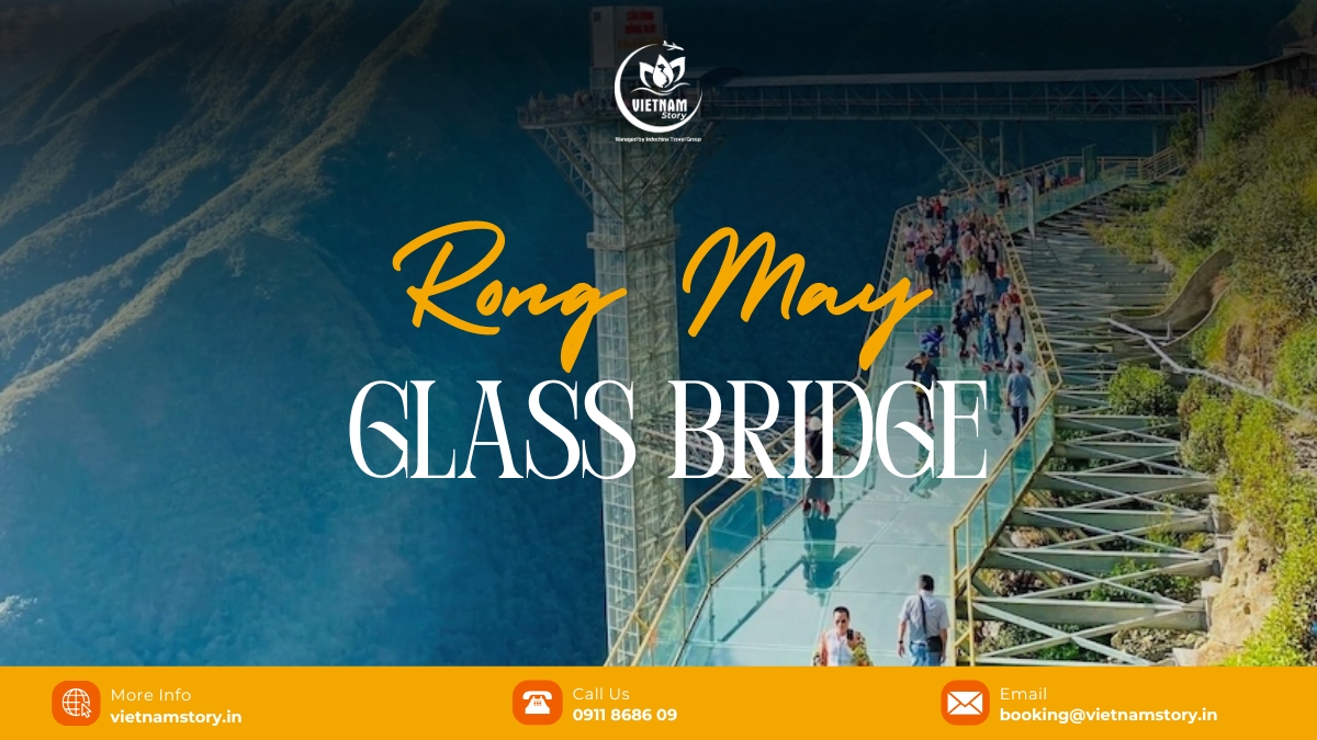 Rong May Glass Bridge: A Guide to Sapa's "Dragon in the Clouds" 2 The Rong May Glass Bridge stands as an extraordinary feat of engineering, attracting visitors with its transparent walkway that offers breathtaking panoramic views of the surrounding mountains.