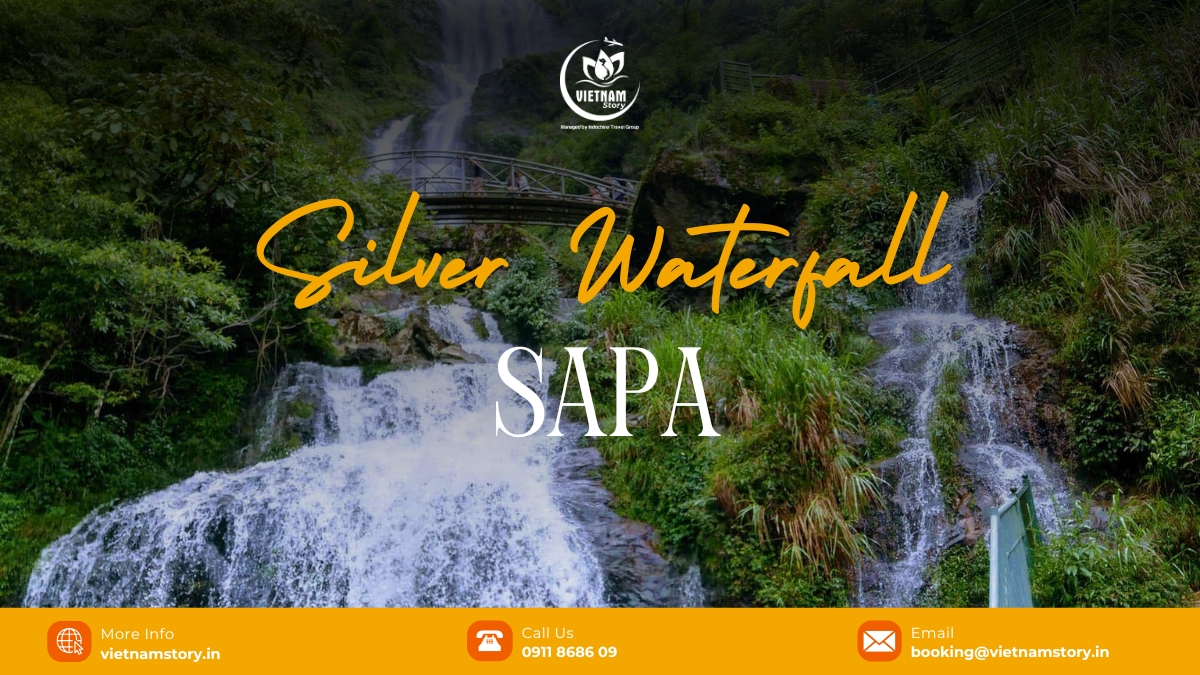 Silver Waterfall Sapa: Discover the "White Dragon" of Sapa 2 Located a short distance away from Sapa, Thac Bac Waterfall is a gift of nature that has been attracting thousands of visitors yearly. Falling from a height of 200 meters, the pure white water stream mixes perfectly with the surrounding forest to create a unique sight.