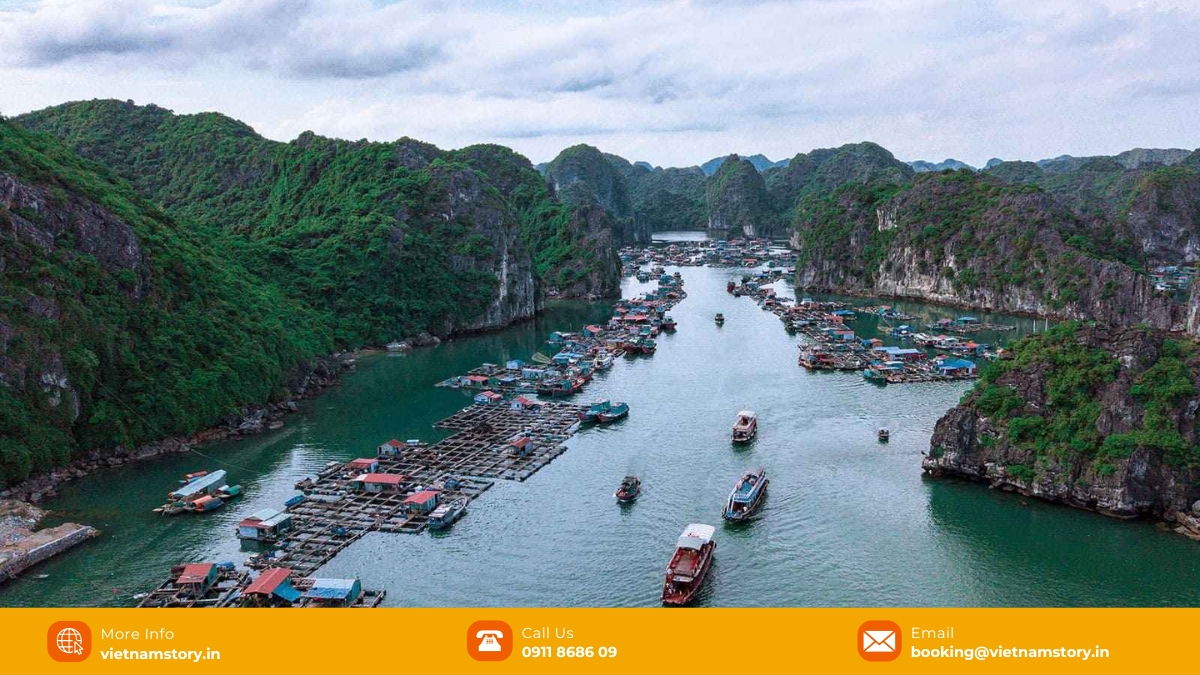 Lan Ha Bay Fishing Villages: A Guide to the "Soul of the Archipelago" 3 Located near Cat Ba Island, Tra Bau village is famous for its pristine, tranquil beauty and clear blue waters, ideal for kayaking through the limestone cliffs.