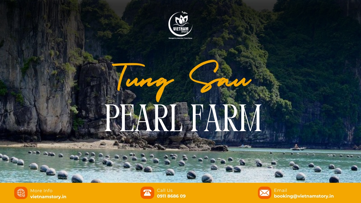 Tung Sau Pearl Farm: Discovering the Living Gems of Ha Long Bay 2 Established in 1995 by a Japanese company, Tung Sau Pearl Farm is a unique tourist attraction in Ha Long Bay, famous for its natural pearl cultivation process and advanced techniques.