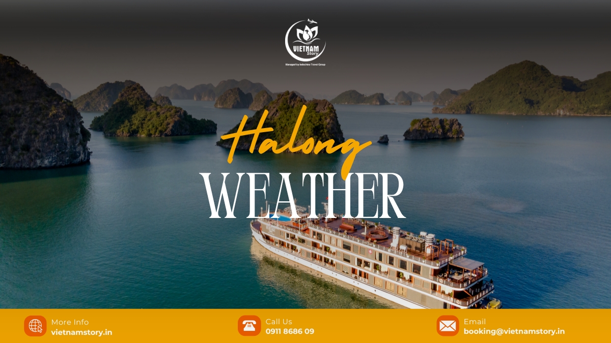 Due to their close proximity, the weather in both locations is quite similar. Ha Long has a typical humid tropical monsoon climate with four distinct seasons, making it a year-round destination.