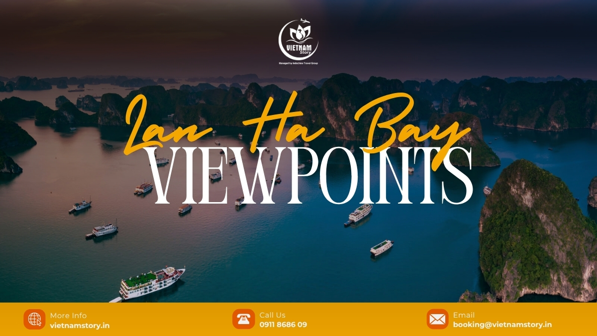To enjoy panoramic views of Lan Ha Bay, you can choose from impressive viewpoints on Cat Ba Island, ranging from easily accessible historical sites to mountain peaks perfect for climbing enthusiasts: