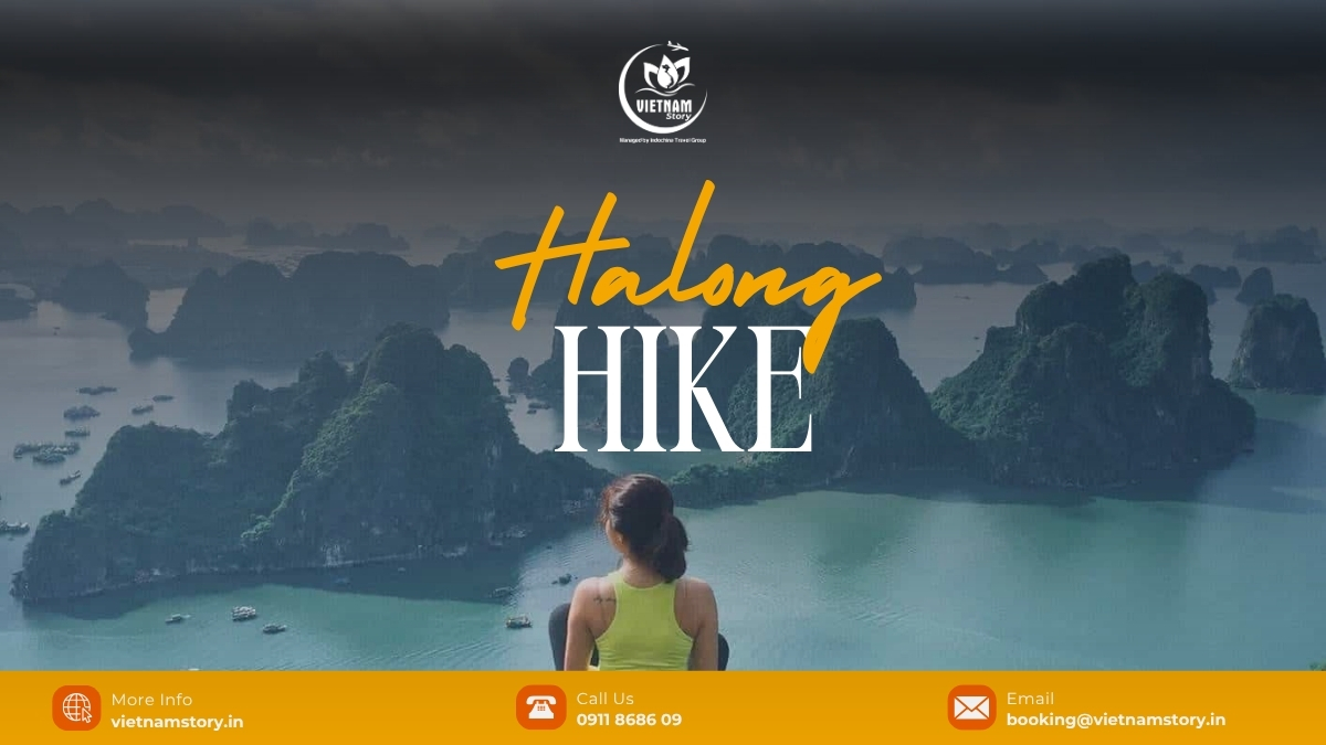 Although Ha Long Bay is famous for its water activities, its hiking trails offer incredibly impressive views from above.