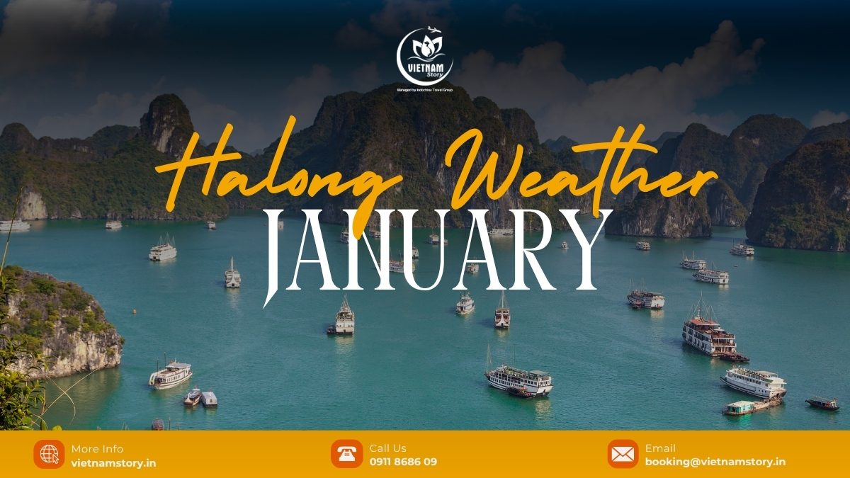 Halong Bay January: A Mystical Winter Guide For Indian Travelers 2 In January, Ha Long Bay is at the peak of winter with the weather.Cold and dry , characterized by a hazy and mysterious atmosphere.